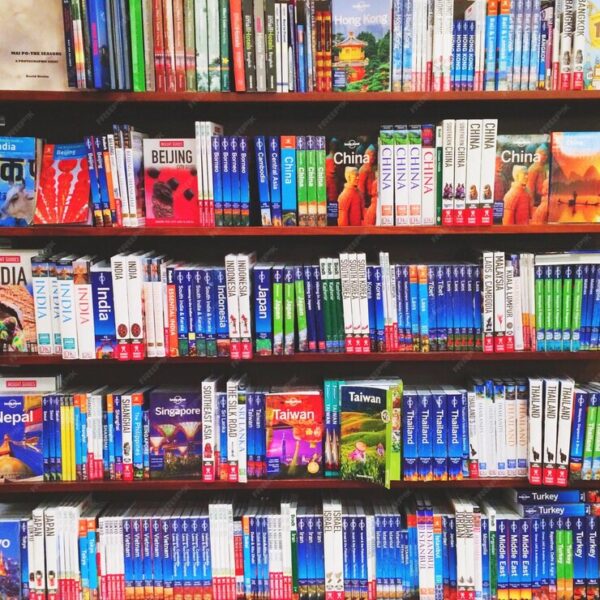 Bibliothèque en Infographie et en Graphique Complète : +50 000 Ressources