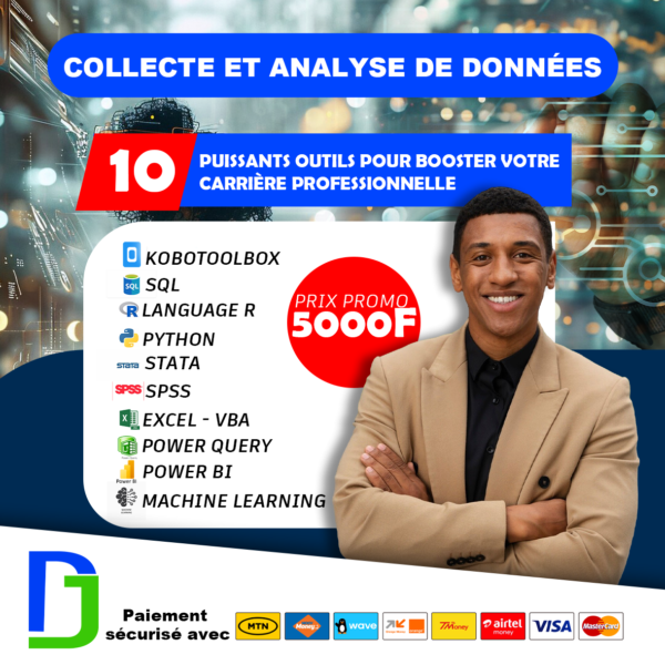 Formation Complète en Data Analyst : Collecte et Interprétation